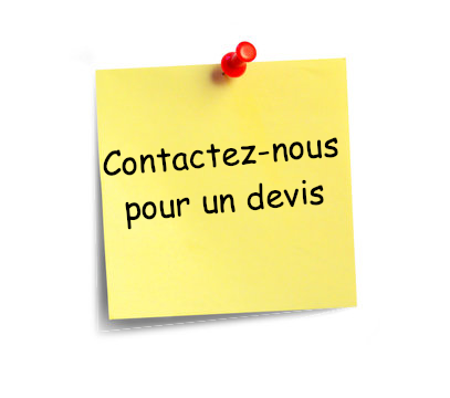 Fiche de contact